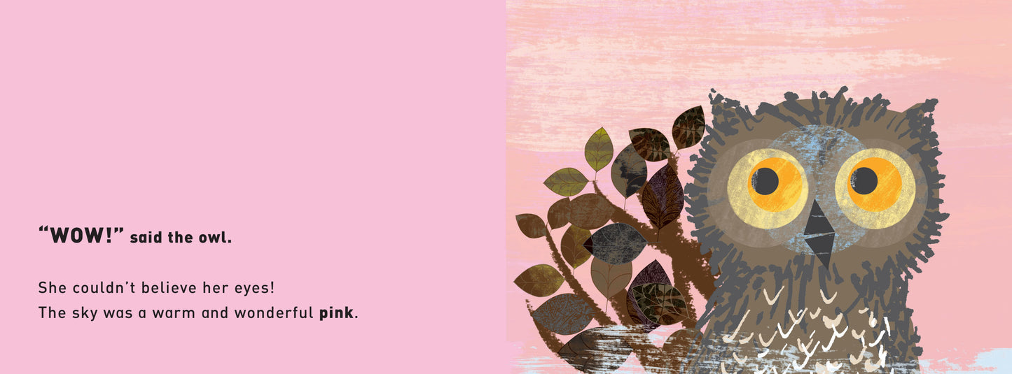 Wow! Said the Owl Board Book - Bookspeed - The Forgotten Toy Shop