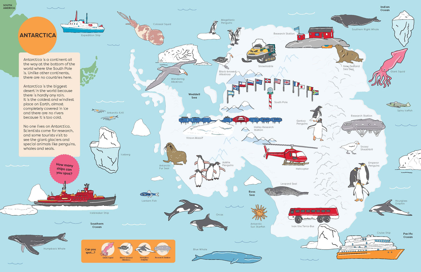 Spot it World Atlas - A Look and Find Book