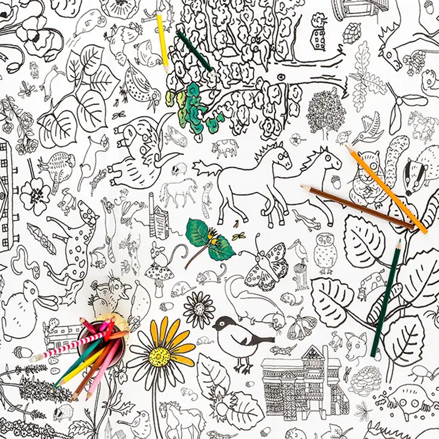 Colour-in Giant Poster / Tablecloth - Countryside