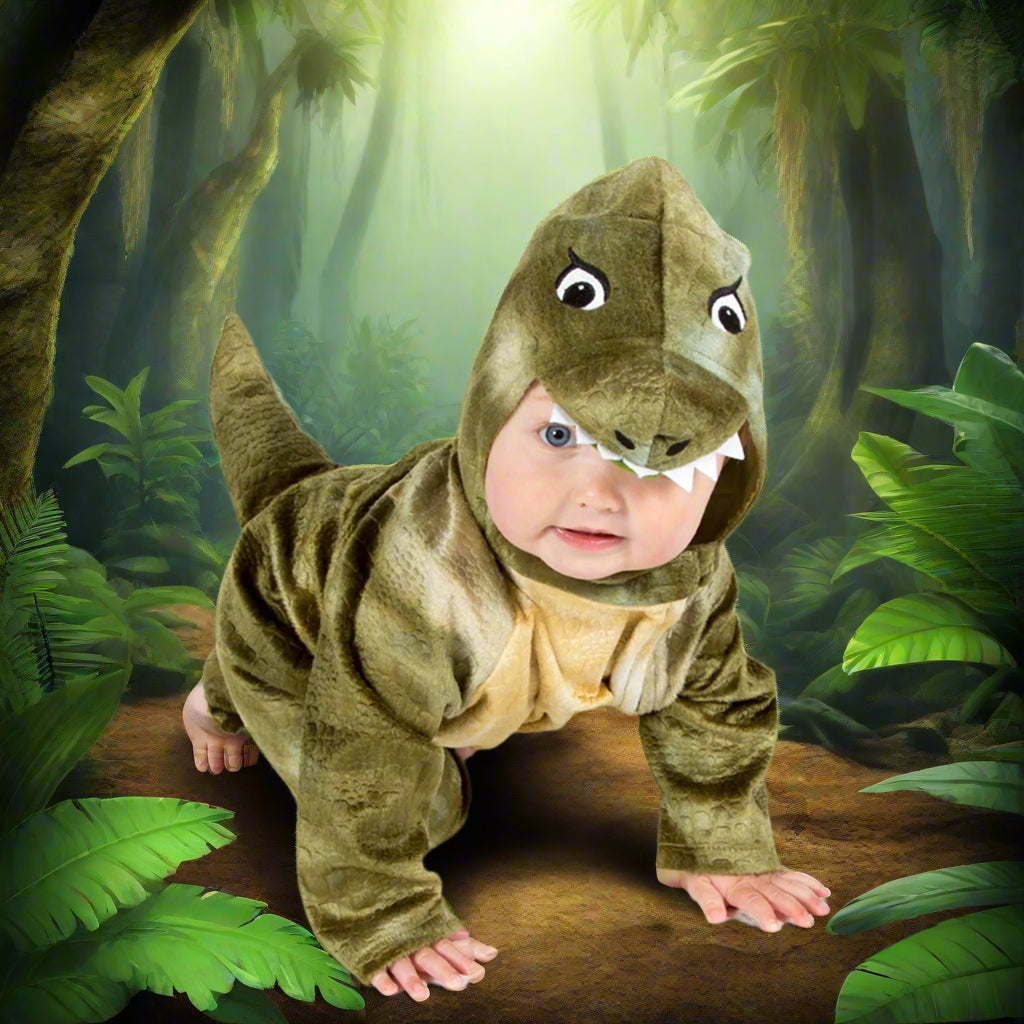 Baby & Toddler T Rex Costume - Pretend to Bee - The Forgotten Toy Shop