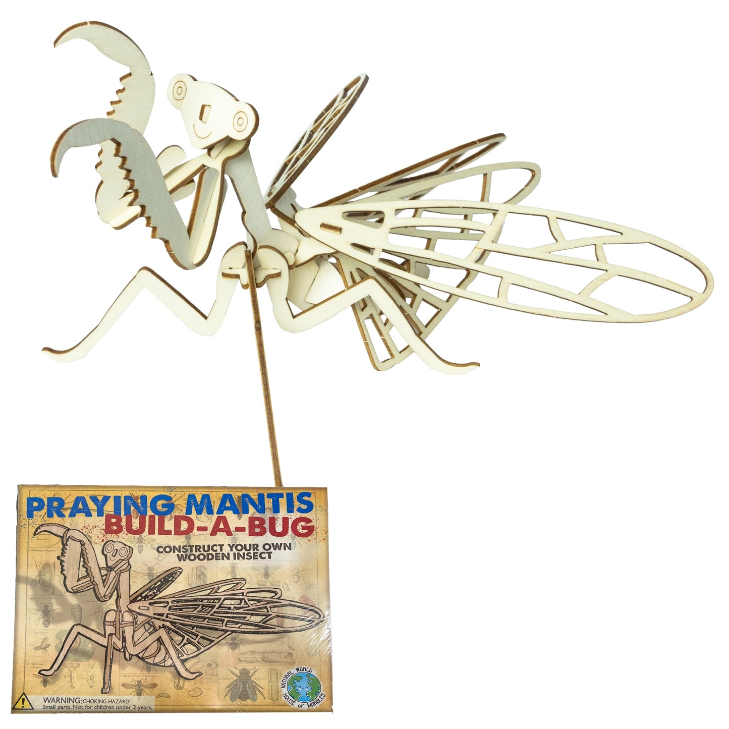 Wooden Build-a-Bug Kit - House of Marbles - The Forgotten Toy Shop