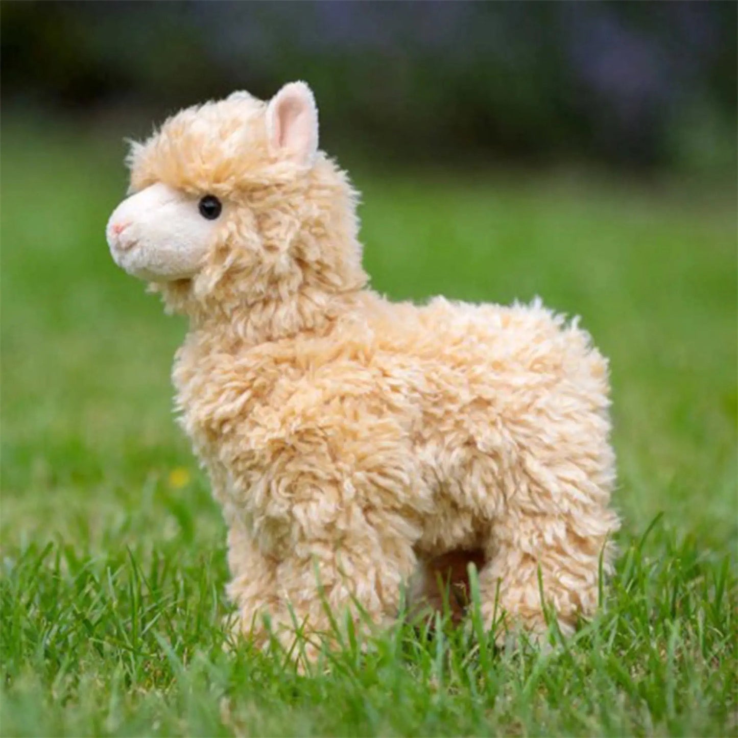 Animigos World of Nature - Alpaca - Tobar - The Forgotten Toy Shop