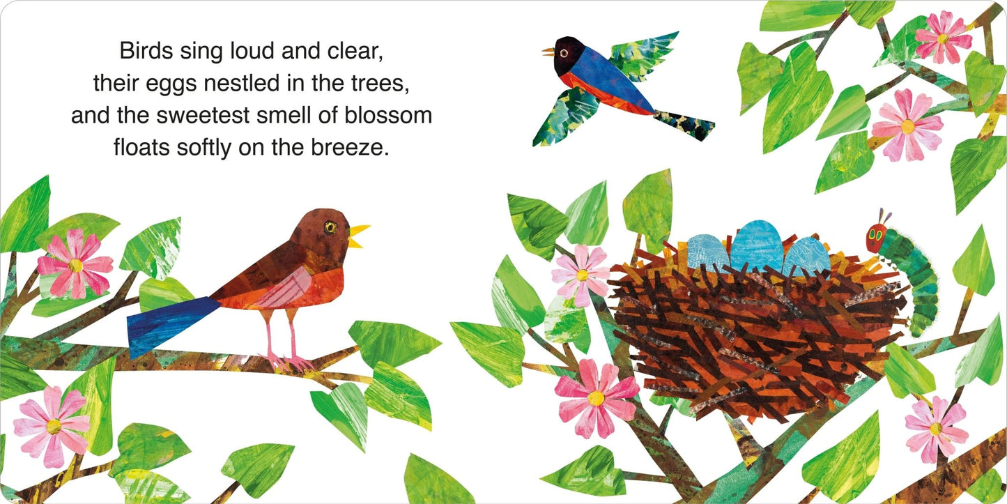 The Very Hungry Caterpillars Easter Picnic (Board Book) - Bookspeed - The Forgotten Toy Shop