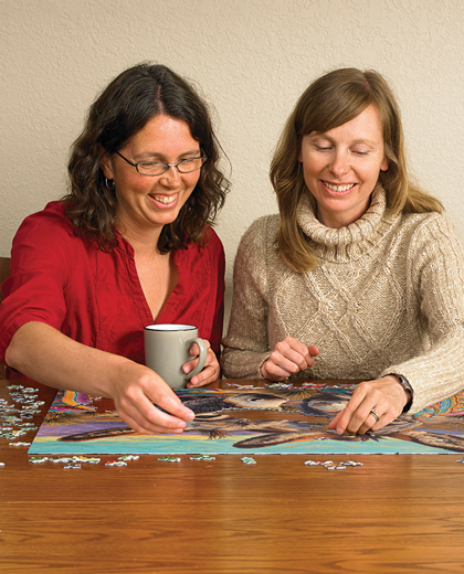 Dos Burros 500 Piece Cobble Hill Puzzle + Poster