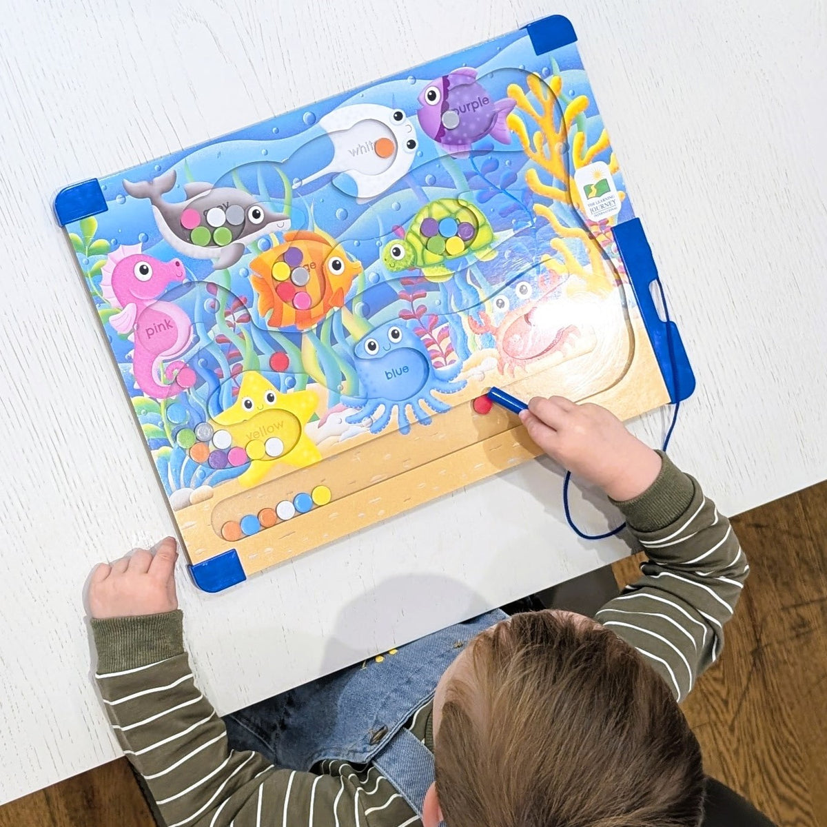 Sort & Learn Magnetic Puzzles - Colours Sea