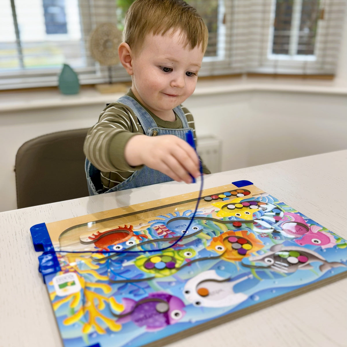 Sort & Learn Magnetic Puzzles - Colours Sea