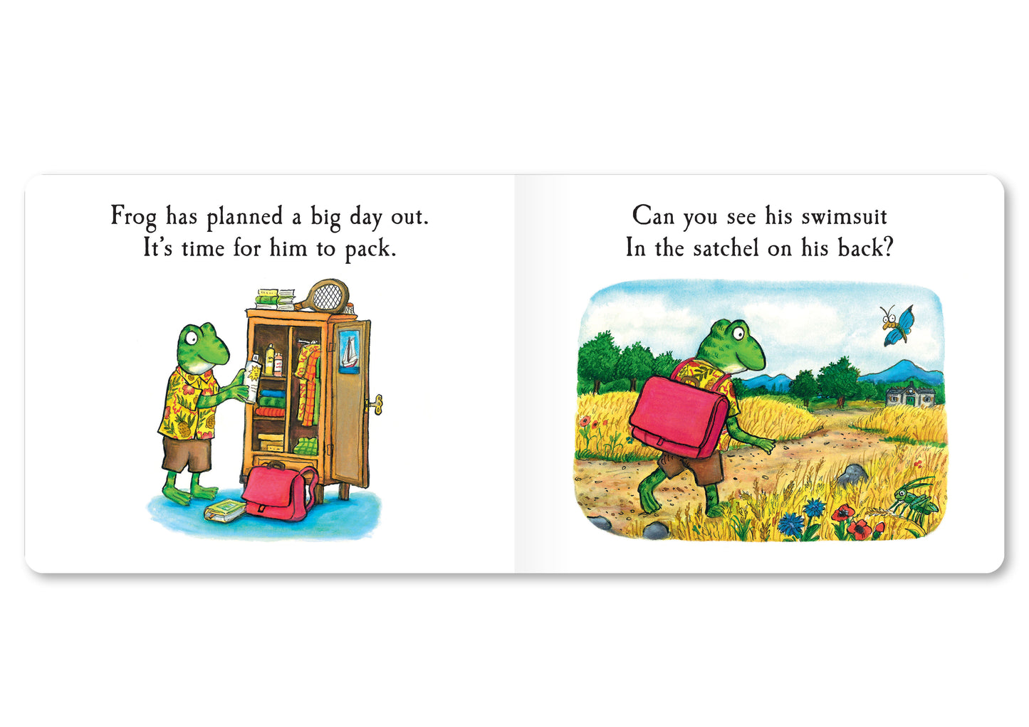 Tales from Acorn Wood: Frogs Day Out (Lift the flap board book)