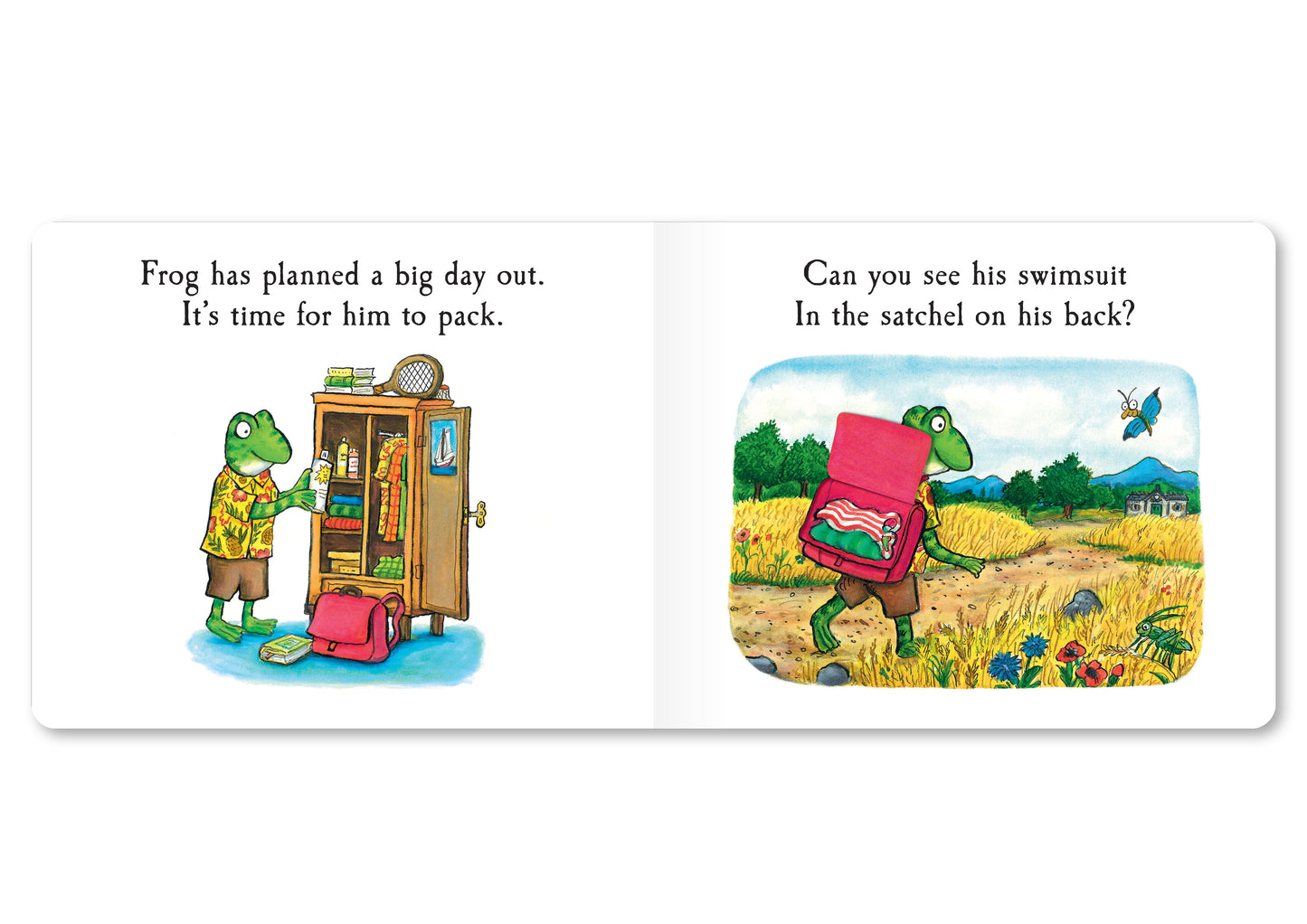 Tales from Acorn Wood: Frogs Day Out (Lift the flap board book)