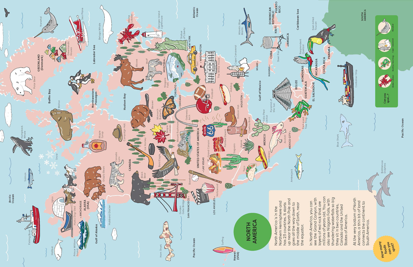 Spot it World Atlas - A Look and Find Book