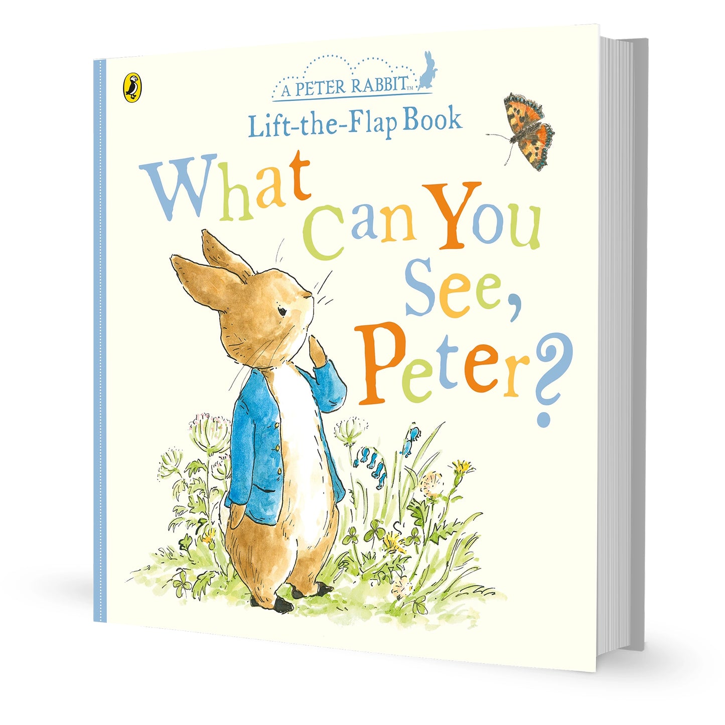 What Can You See, Peter (Peter Rabbit Lift the Flap Book) - Bookspeed - The Forgotten Toy Shop
