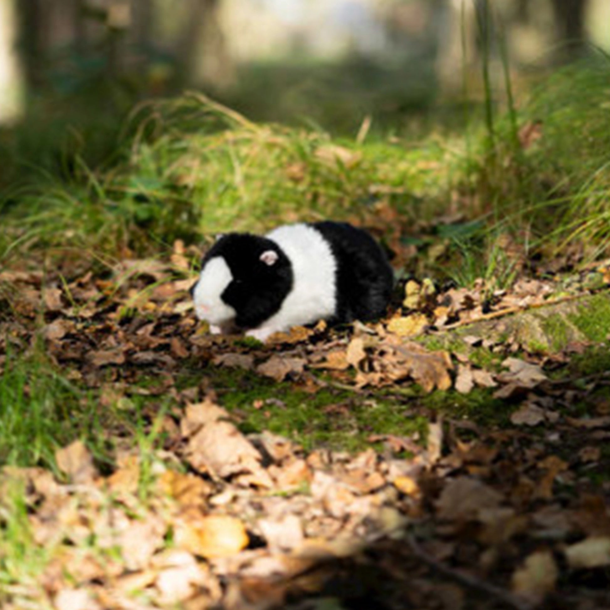 Animigos World of Nature Black and White Guinea Pig The Forgotten Toy Shop