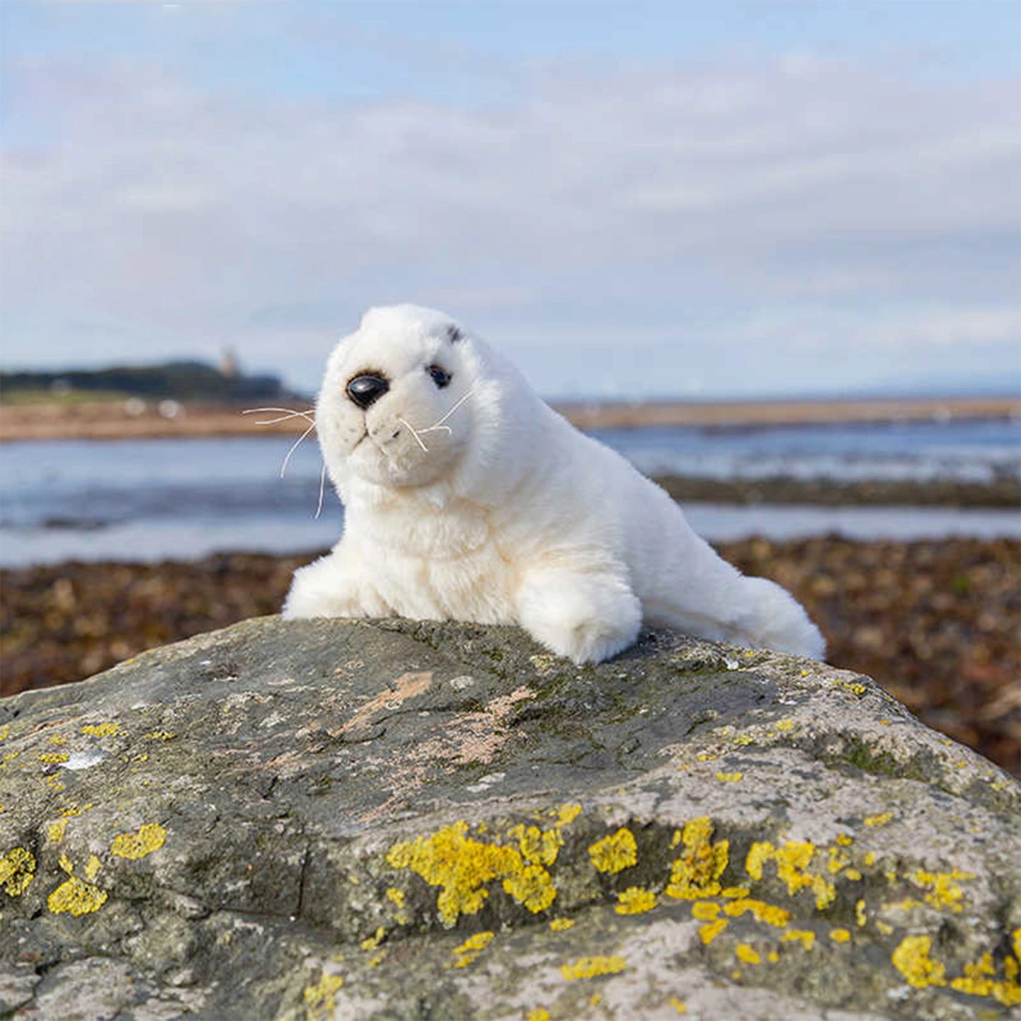 Animigos World of Nature - Seal Pup