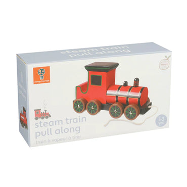 Steam Train Pull Along Toy