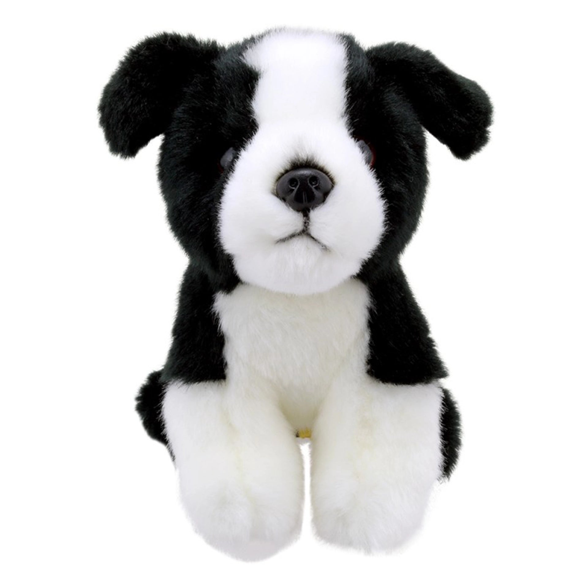 Border collie soft store toy uk