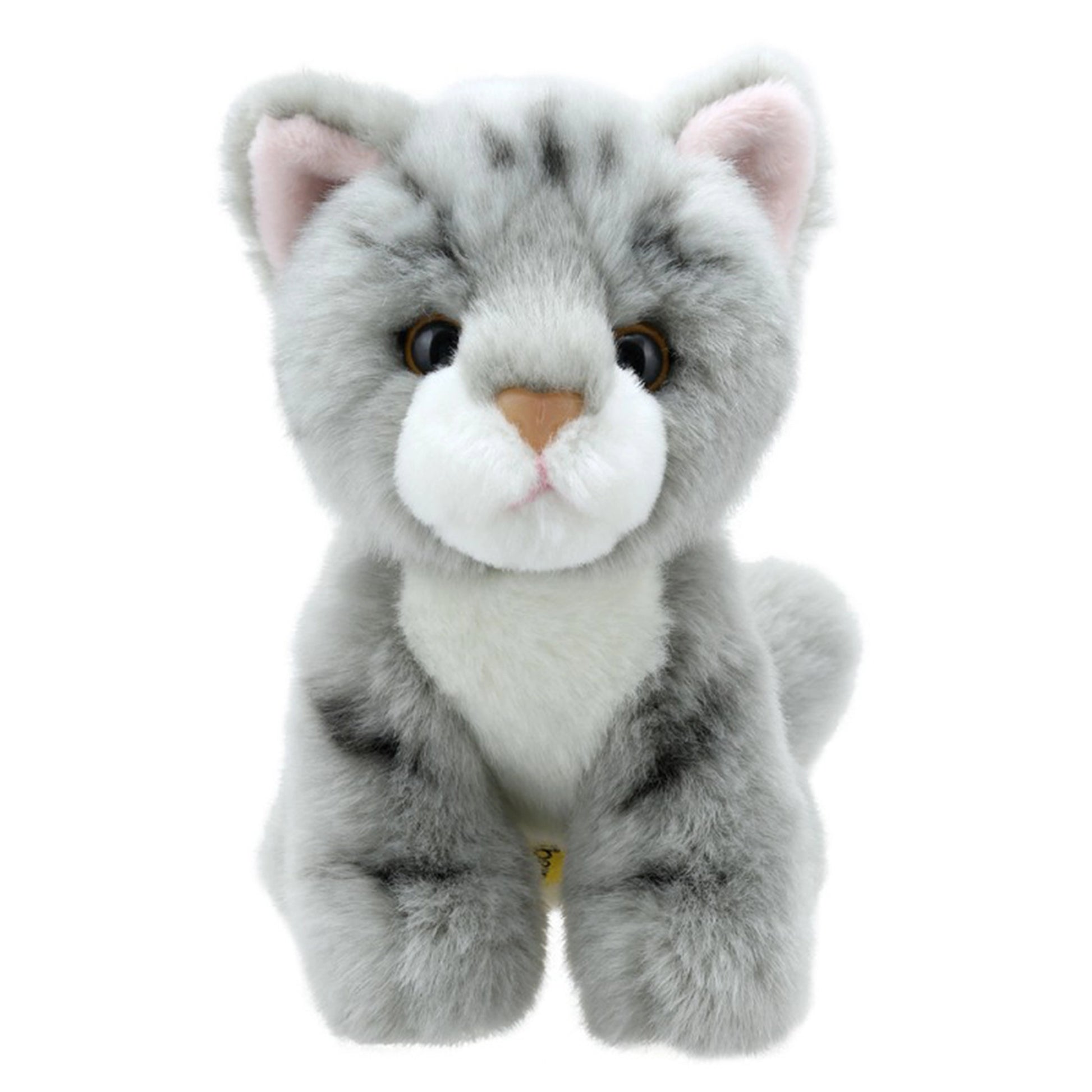 Cat top mini toys
