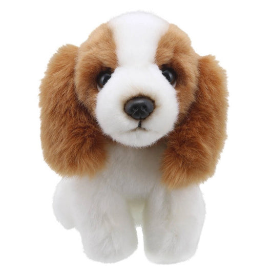 Wilberry Mini's King Charles Spaniel