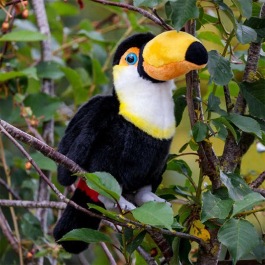 Animigos World of Nature - Toucan - Tobar - The Forgotten Toy Shop