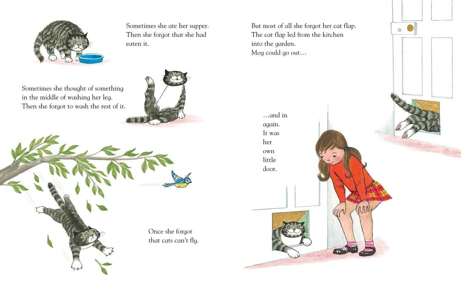 Mog the Forgetful Cat (50th Anniversary) Board Book - Bookspeed - The Forgotten Toy Shop